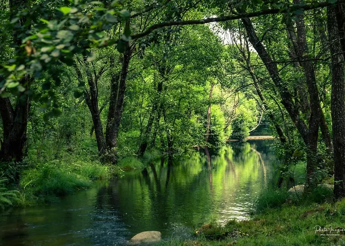 Rurales La Gloria De Yuste 公寓 哈赖斯德拉韦拉